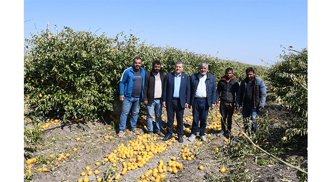 Limon yerlere döküldü