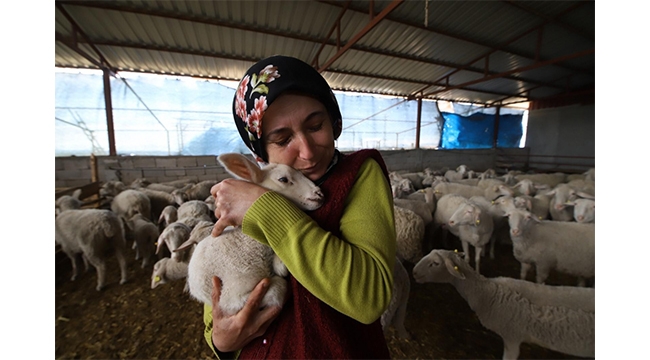 Vatandaşlık görevini yaptı zararlı çıktı